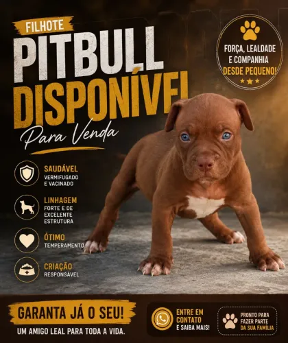 Filhotes de pitmonster