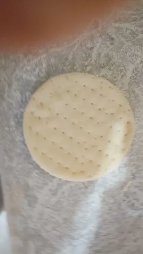Massas de pizza pré forneadas