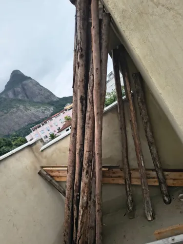 Escora de Eucaliptos para obra