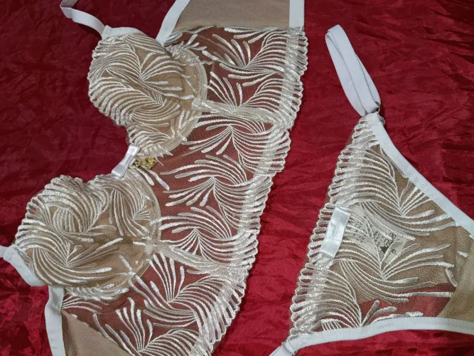 Lingeries de Luxo P/M/G/GG