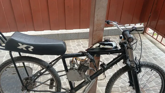 Bicicleta motorizada