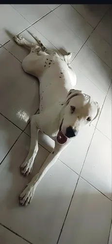 Doação 