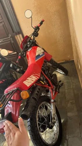 XLX 250
