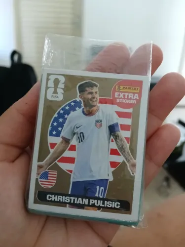 Legend bronze Pulisic