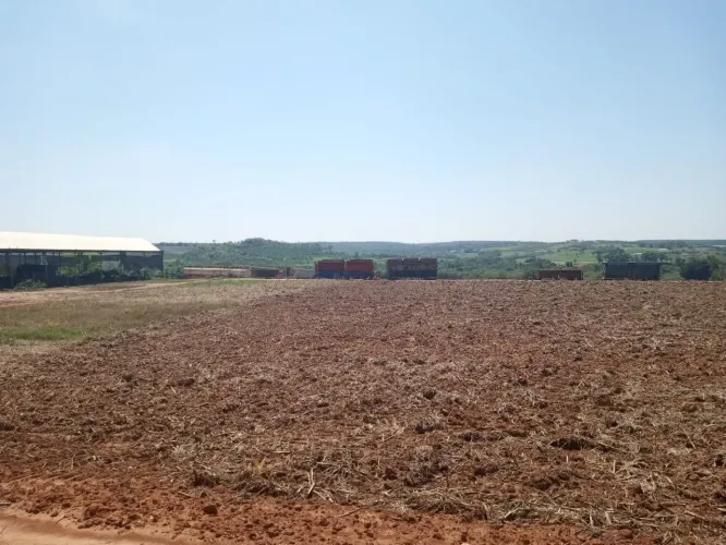 Sítio à venda, 63 hectares Alegre - Holambra/SP Consulte Condições