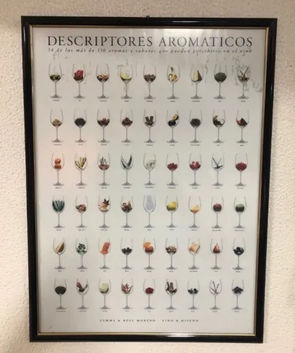 Quadro com tipos de vinho em Santa cruz do sul