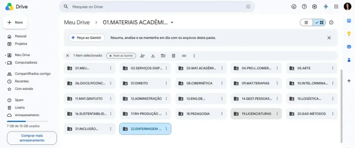 Mentoria Acadêmica 