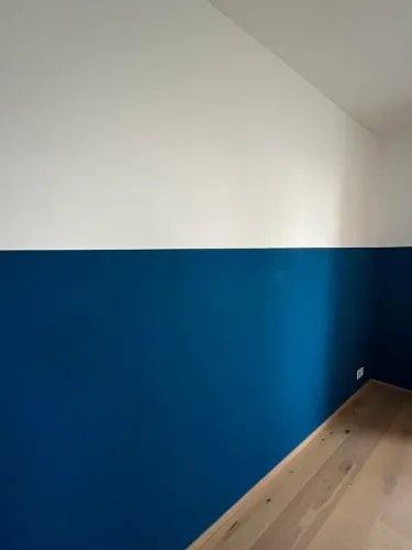 Pintor profissional