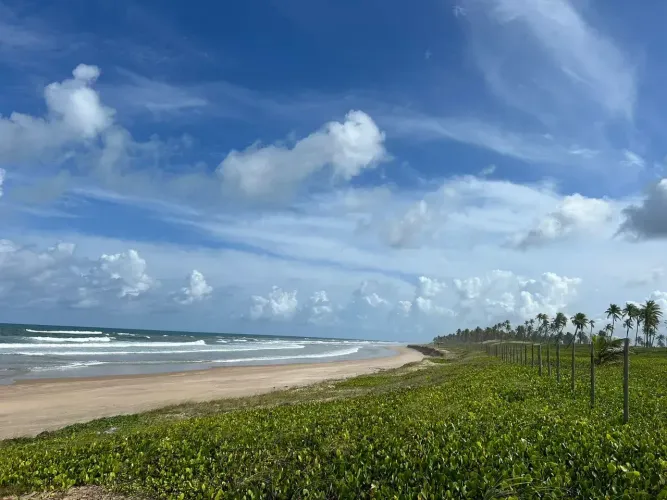 Fazenda beira mar para venda com 136918 metros quadrados em Subaúma - Entre Rios - BA