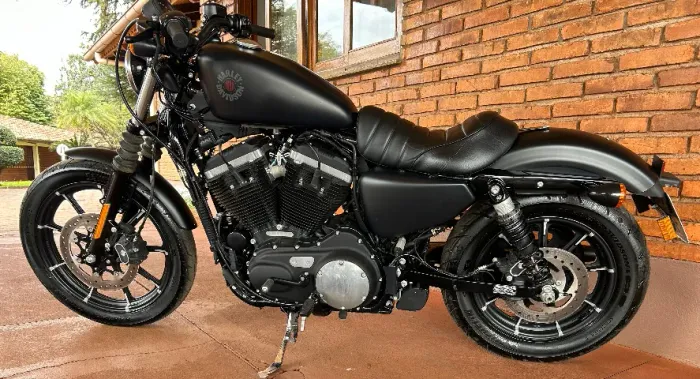 Iron 883 2019 