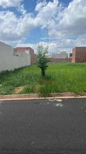 Terreno à venda, 200 m² por R$ 80.000,00 - Residencial Maria Clara - São José do Rio Preto