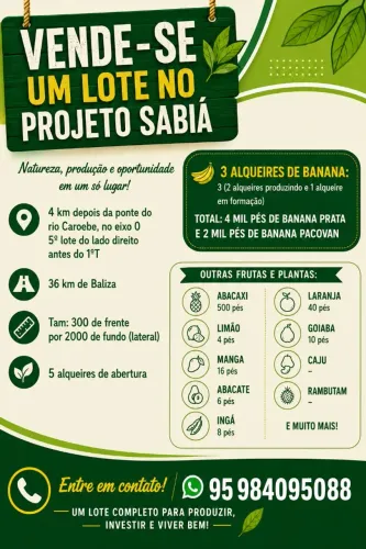 Vendo  um lote no Projeto Sabiá, município de São João da Baliza. 