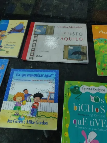 Livros Paradidáticos do Ensino Fundamental 1