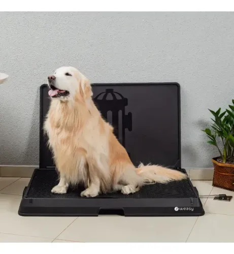 Weasy Cão Médio - Banheiro Inteligente para Cachorro com parede