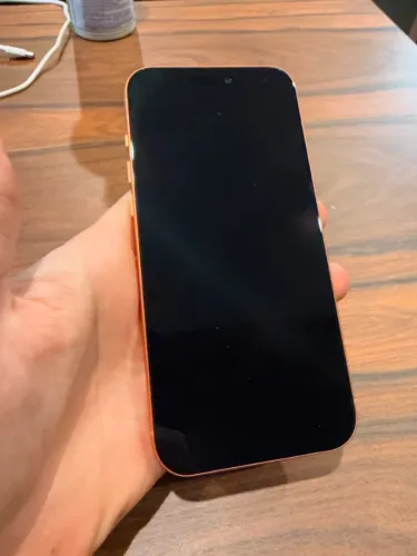 iPhone 17 Pro Max 256 GB Laranja