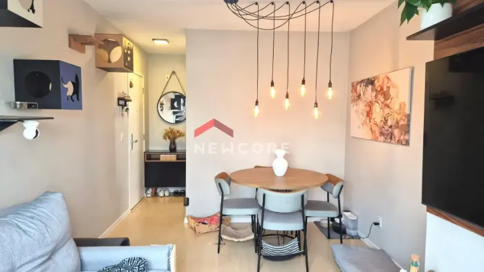 Apartamento em Rua Arnaldo Cintra - Vila Moreira - São Paulo/SP