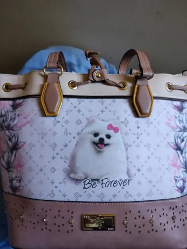 Bolsa be forever Lulu