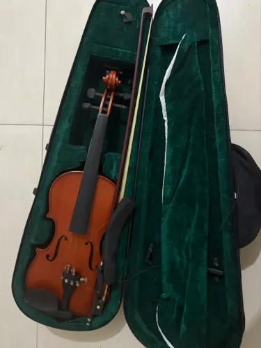 Violino