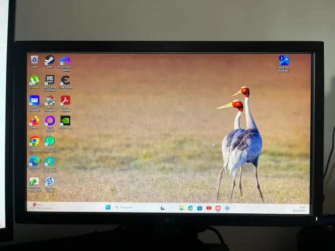 monitor dell  18.5 polegadas modelo e1916hr