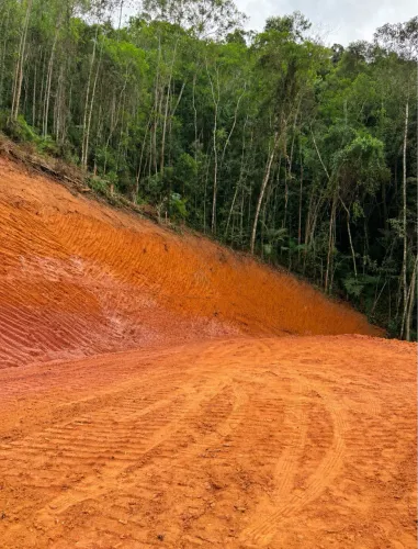 Terreno já com platô pronto , ideal para chácara.