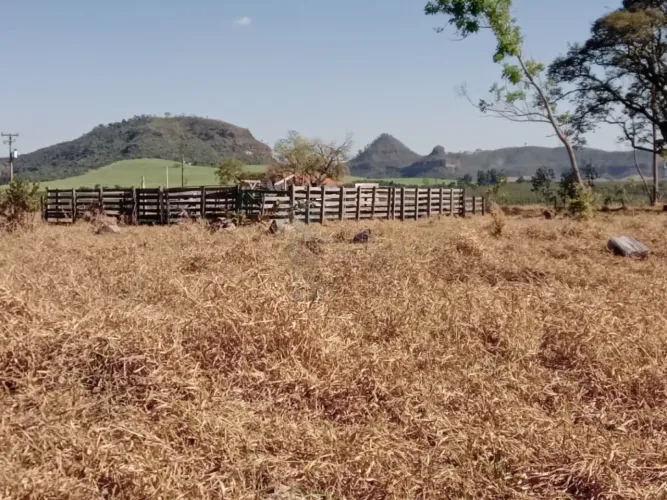 Sítio de 25 alqueires paulista à venda - Cássia dos Coqueiros