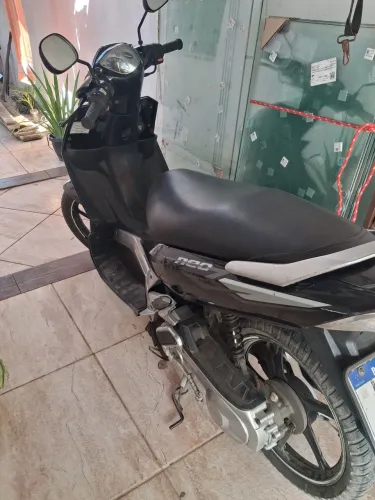 Excelente motinha