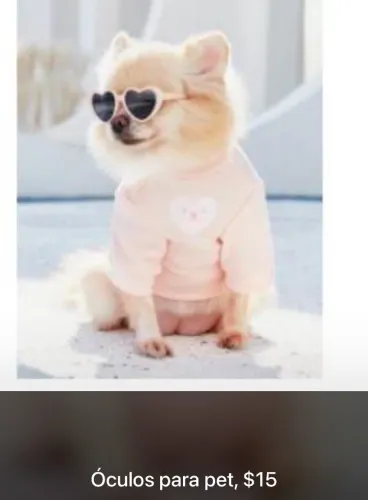 Itens para pet