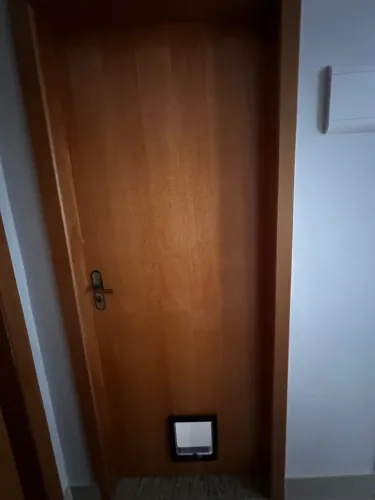 Porta com portinha de gato