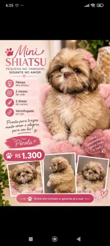 Mini shiatsu pérola. 