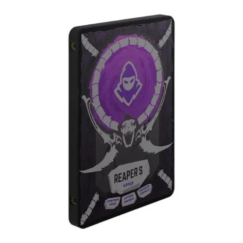 KIT COM 2 SSDs - Goldenfir 1TB + Mancer 445GB