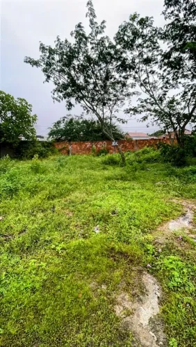 Terrenos à Venda (21x20m e 7x20m) em São José da Tapera AL<br>