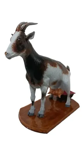 CABRITINHA MIJA PINGA CACHAÇA TONEL BARRIL