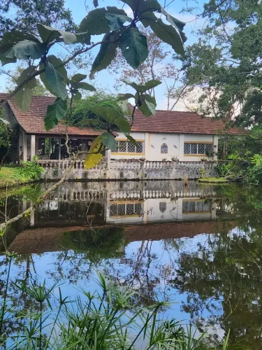 Vende-se Sitio em Miguel Pereira - RJ