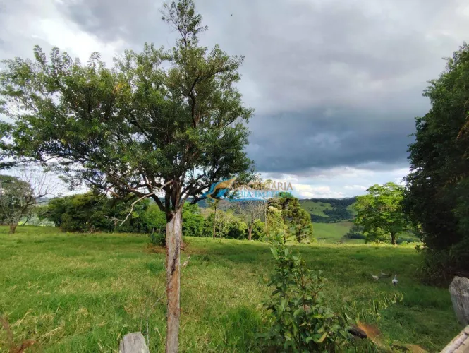 Sítio à venda, 484000 m² por R$ 2.500.000,00 - Centro - Guaraniaçu/PR
