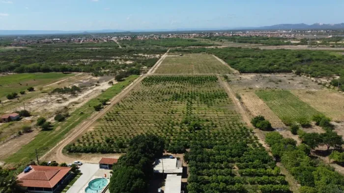 Roça Com 10 Hectares Beira de Rio - Manga Produzindo - Sobradinho