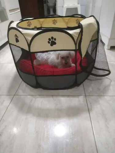 Cercado pet