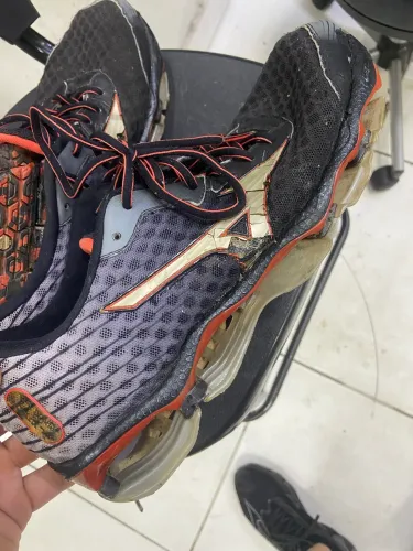 Mizuno prophecy 4