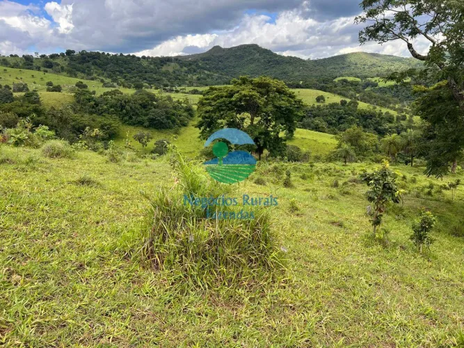 Fazenda 97 alqueires ou 469 Hectares para Criação de gado EXTRA .