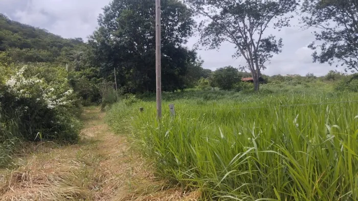 Aqui tem dupla Aptidão /,Pecuria ou Agricultura ...25 Minutos parque Minicipal!!!