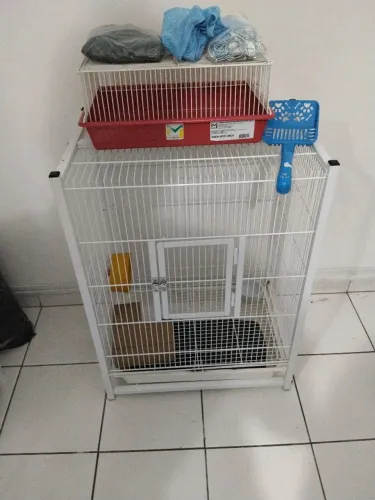 Gaiola gaiopar para rato twiste e acompanha acessórios 