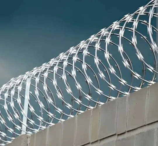 Concertina 50 cm x 10 m alambre galvanizado