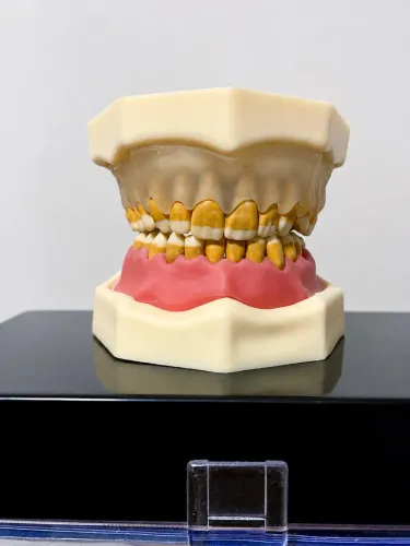 Vendo manequim de periodontia Orais. Nunca usado?