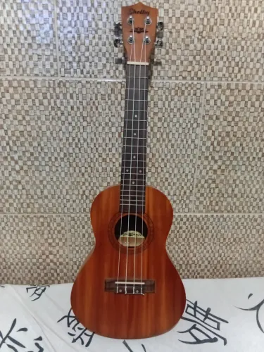 Ukulele Concert