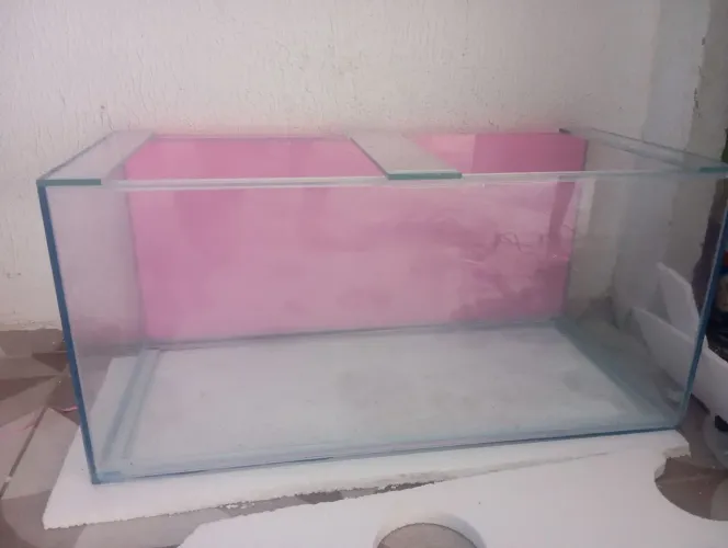 Aquário novo $450