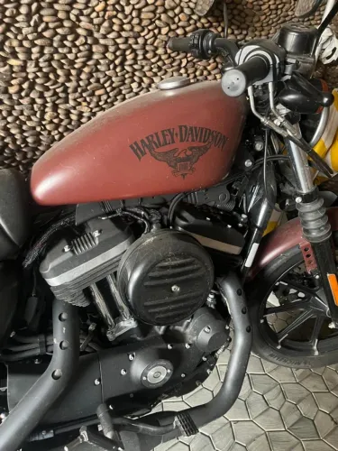 Harley Davidson / XL883N
