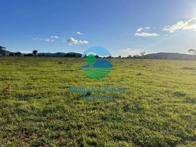 Fazenda 300 Hectares/ 62 Alqueires Porangatu -GO Dupla Aptidão.