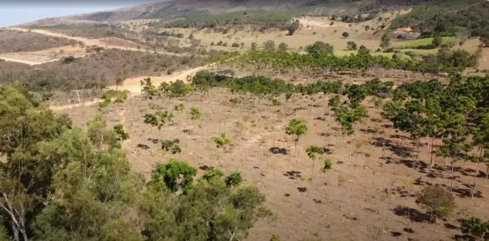 Imóvel para venda com 20000 metros quadrados em Zona Rural - Cordisburgo - MG