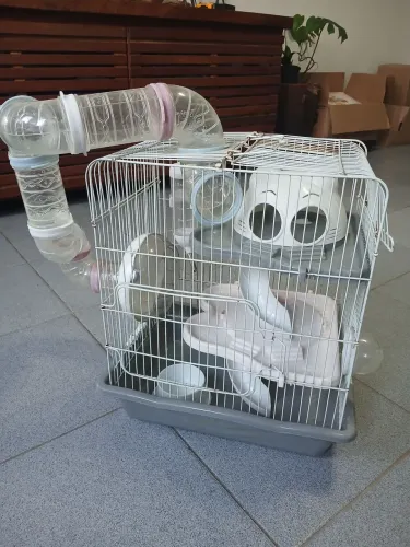 Gaiola para hamster