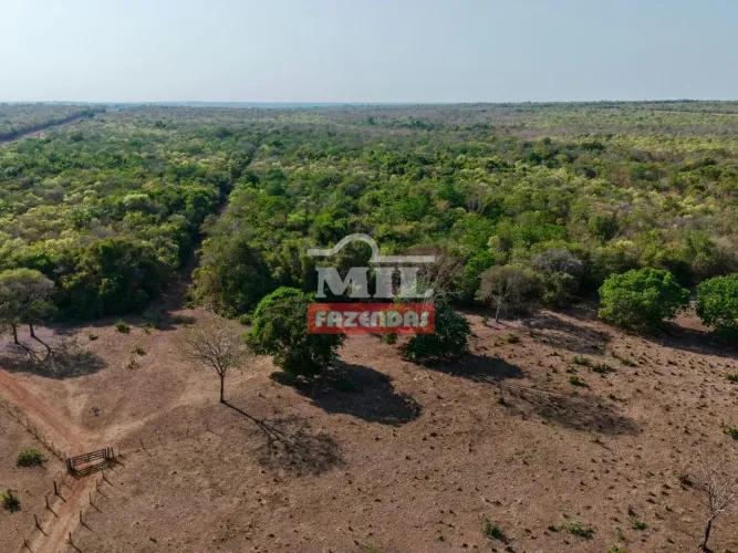 Fazenda 265 Alqueires (1.283 Hectares) Nova Crixás - GO