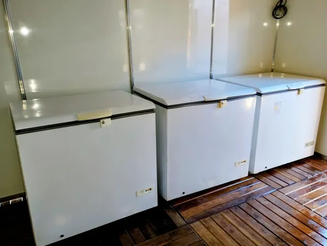 Aluguel de freezer é na LocFree 